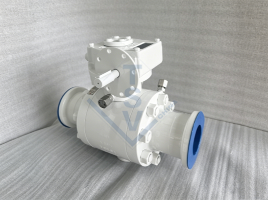 Hub-Connection Compact Offshore Trunnion Ball Valve