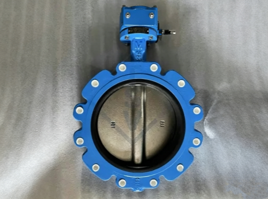 Ductile Iron Resilient Lug Butterfly Valve