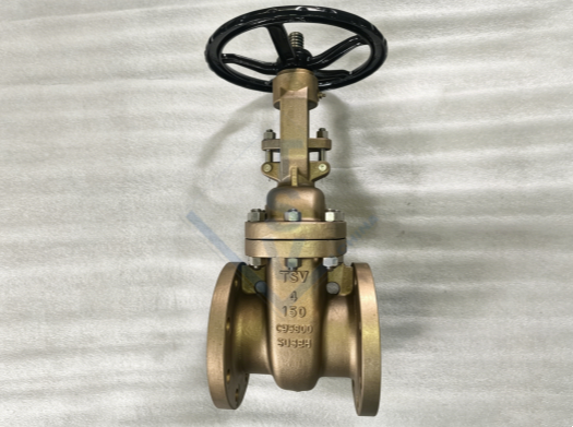 TSV Cast Steel Heavy-Duty Gate Valve API 600