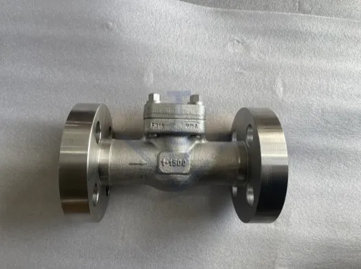 Integral Flanged Forged Check Valve