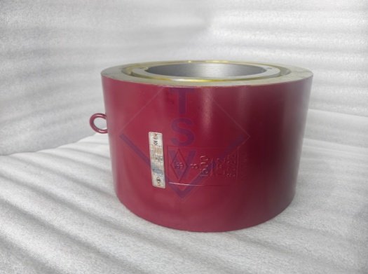 High-Pressure Forged Dual-Plate RTJ Retainerless Check Valve