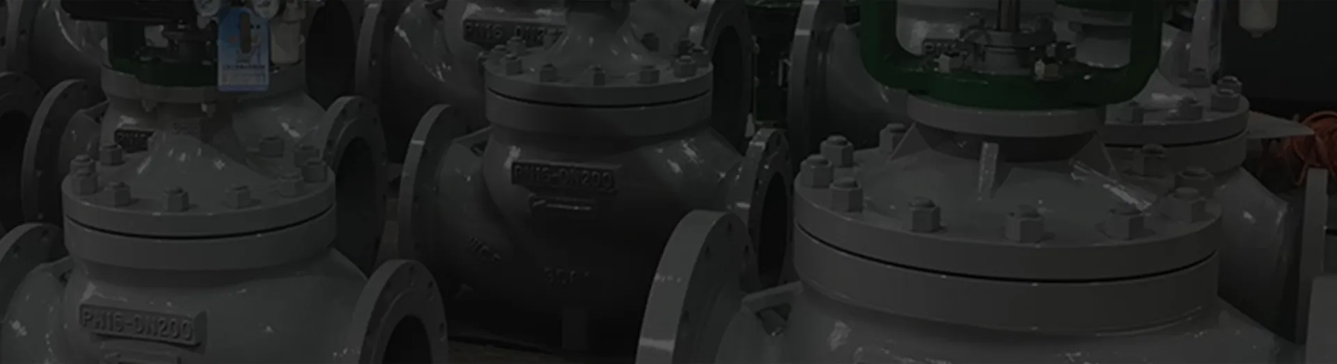 TSV High Performance Process Control Valve Assembly Line