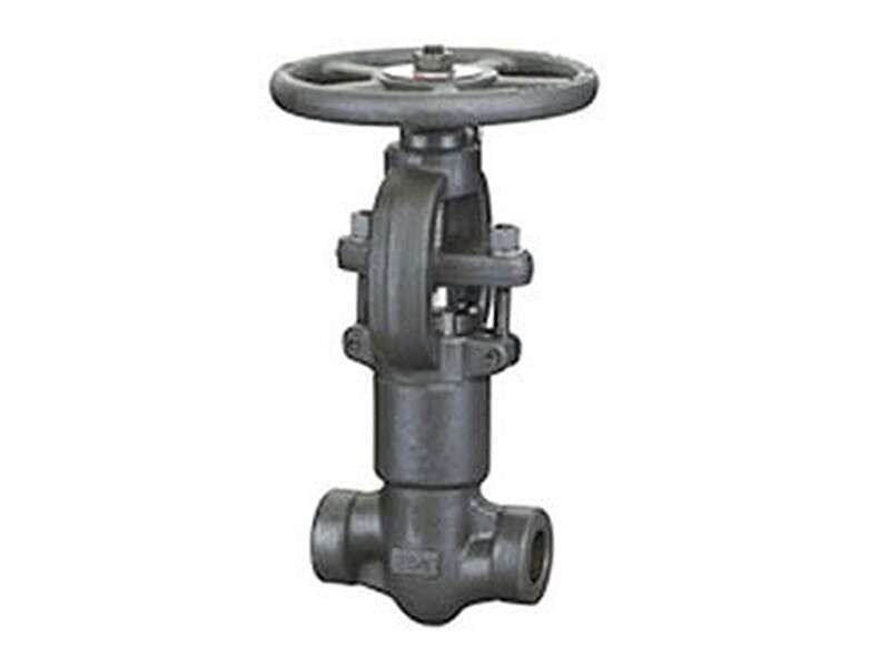 API 602 High-Pressure Forged Bolted Bonnet Globe Valve