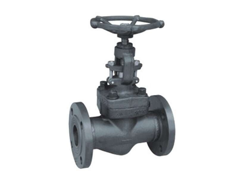 TSV forged steel globe valve - welded bonnet socket weld ends