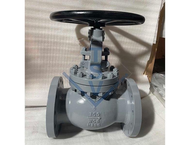 TSV Class 300 High-Pressure Bolted Bonnet Forged and Cast Gate Valve Assembly