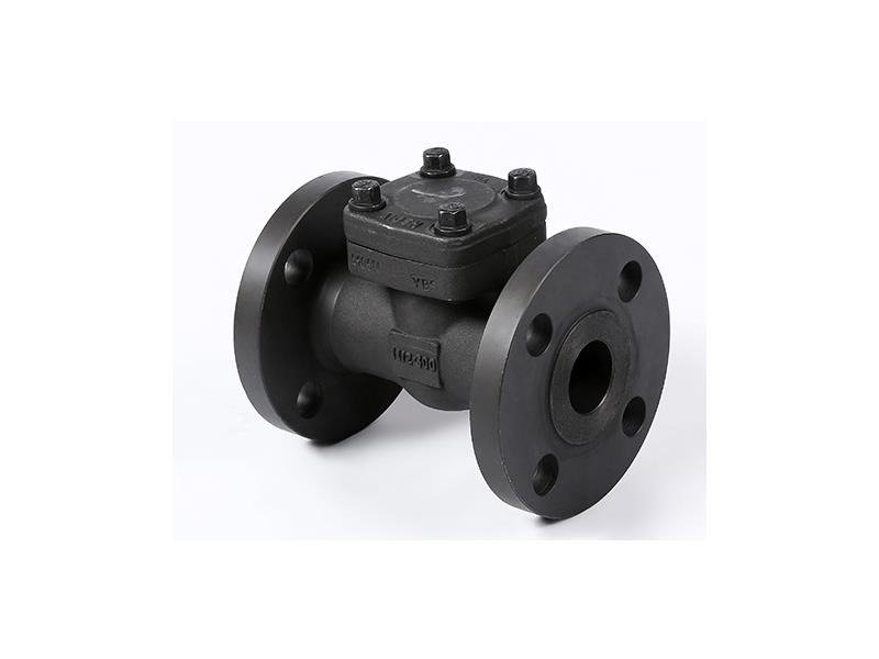 Forged Steel Swing Check Valve