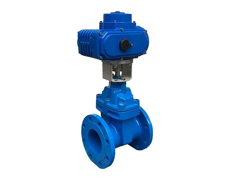 Stainless Steel Threaded NPT Cast Gate Valve