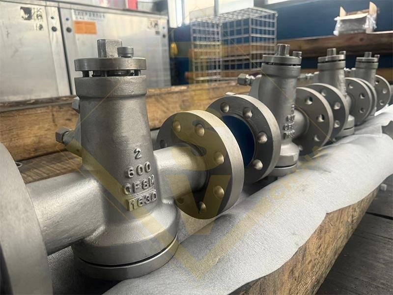 TSV Class 900/1500 Inverted Pressure Balanced Plug Valve Workshop Inspection