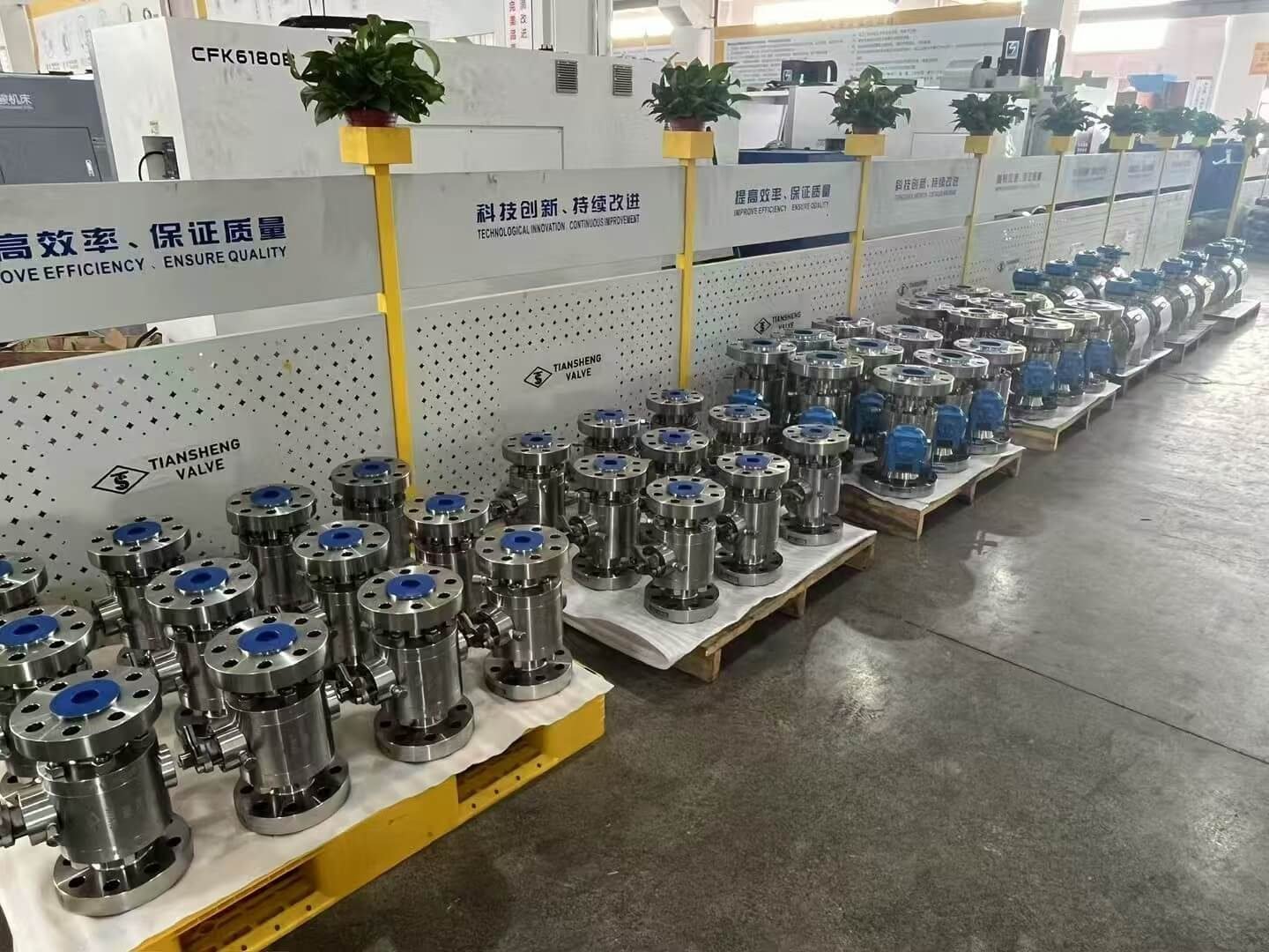 Consolidated Industrial Valve Package Factory Assembly