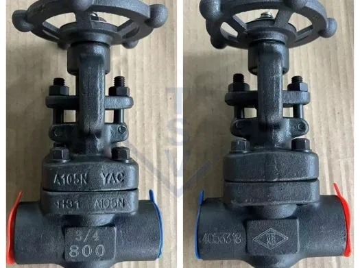 Forged Steel Compact Gate, Globe & Check Valve Construction
