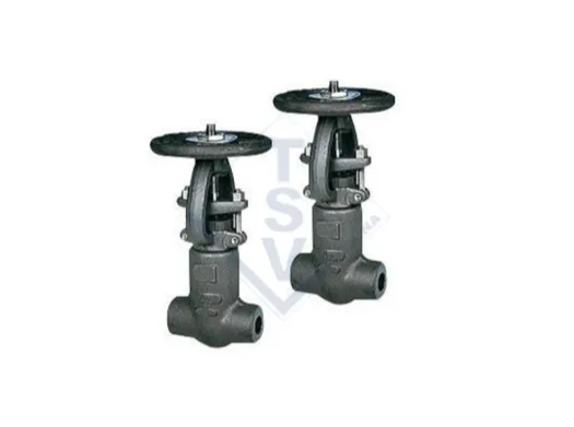 TSV forged steel gate valve - threaded and socket weld ends