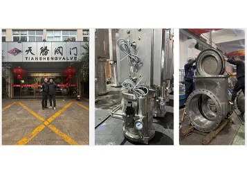 Cryogenic Valve Workshop Inspection & Extended Bonnet Clean-Room Assembly