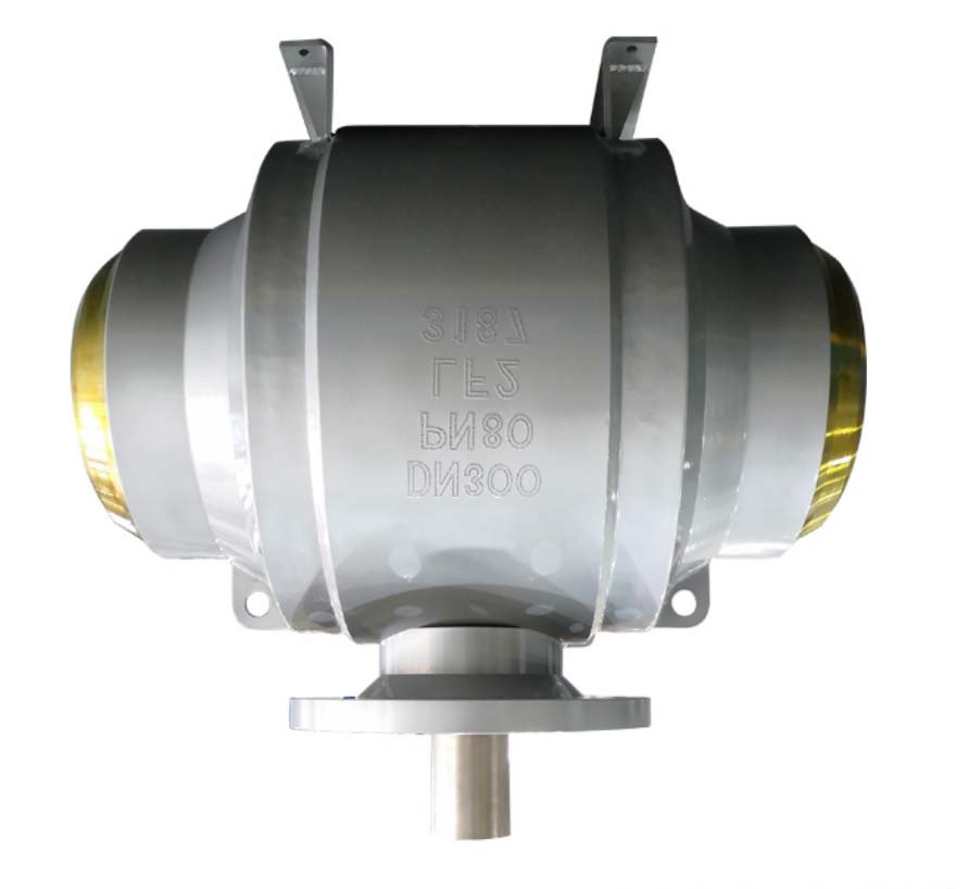 Dual-Plate Wafer vs Swing Check Valve Closure Cross-Section