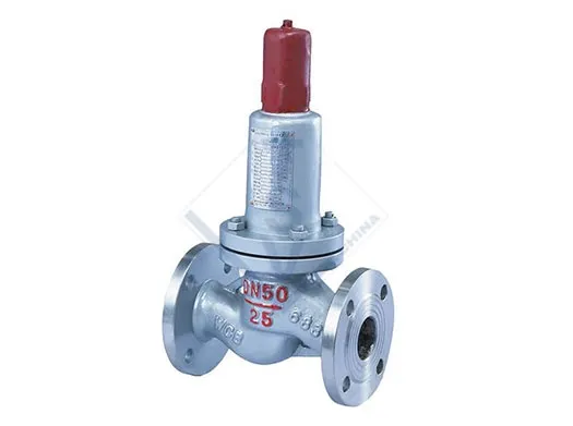 TSV AHN42F Parallel Safety Back-Flow Valve Real Factory Assembly