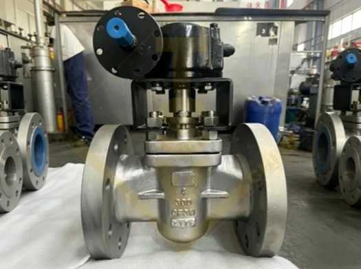 TSV Class 300 CF8M Flanged Stainless Steel Lubricated Plug Valve Workshop Real Photo