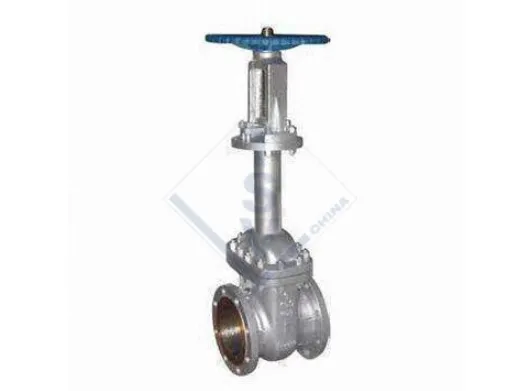 Pressure-Seal High Pressure Power Plant Gate Valve