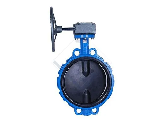 TSV Soft Seal Resilient Butterfly Valve Real Factory Assembly