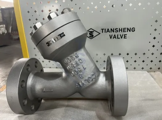 Y-Strainer