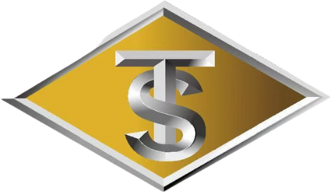 TSV Valves Logo