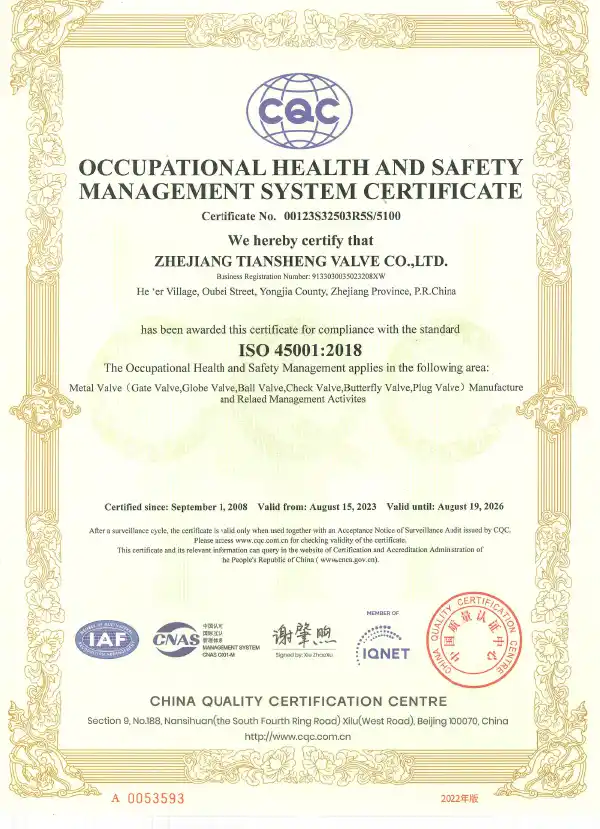 ISO Integrated Management System Certificate (ISO 45001 / ISO 9001)